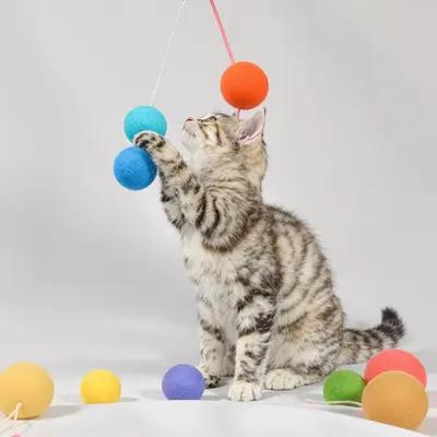 Playful Tabby Kitten Swatting Felt Balls
