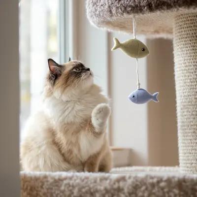Playful Ragdoll Cat Batting at Fish Toy